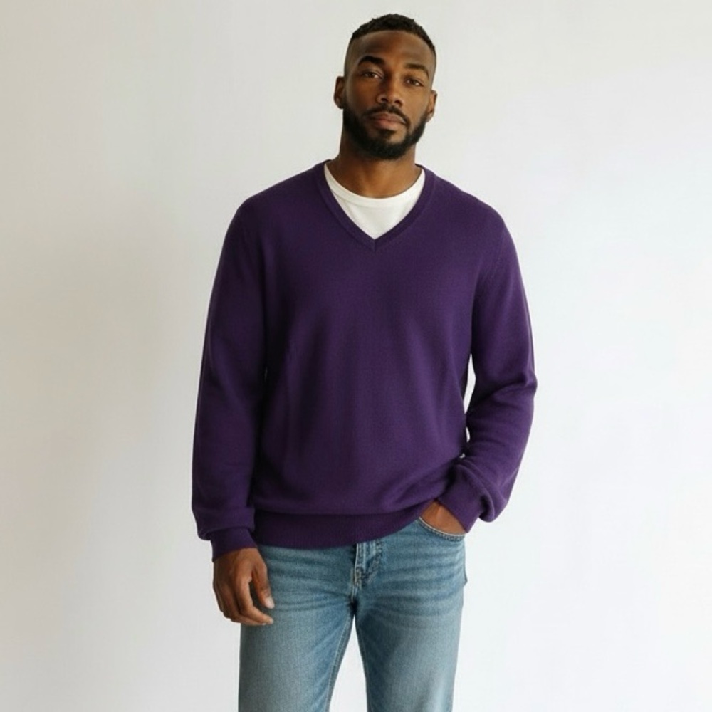 J. Crew Merino Wool Knit V-Neck Sweater